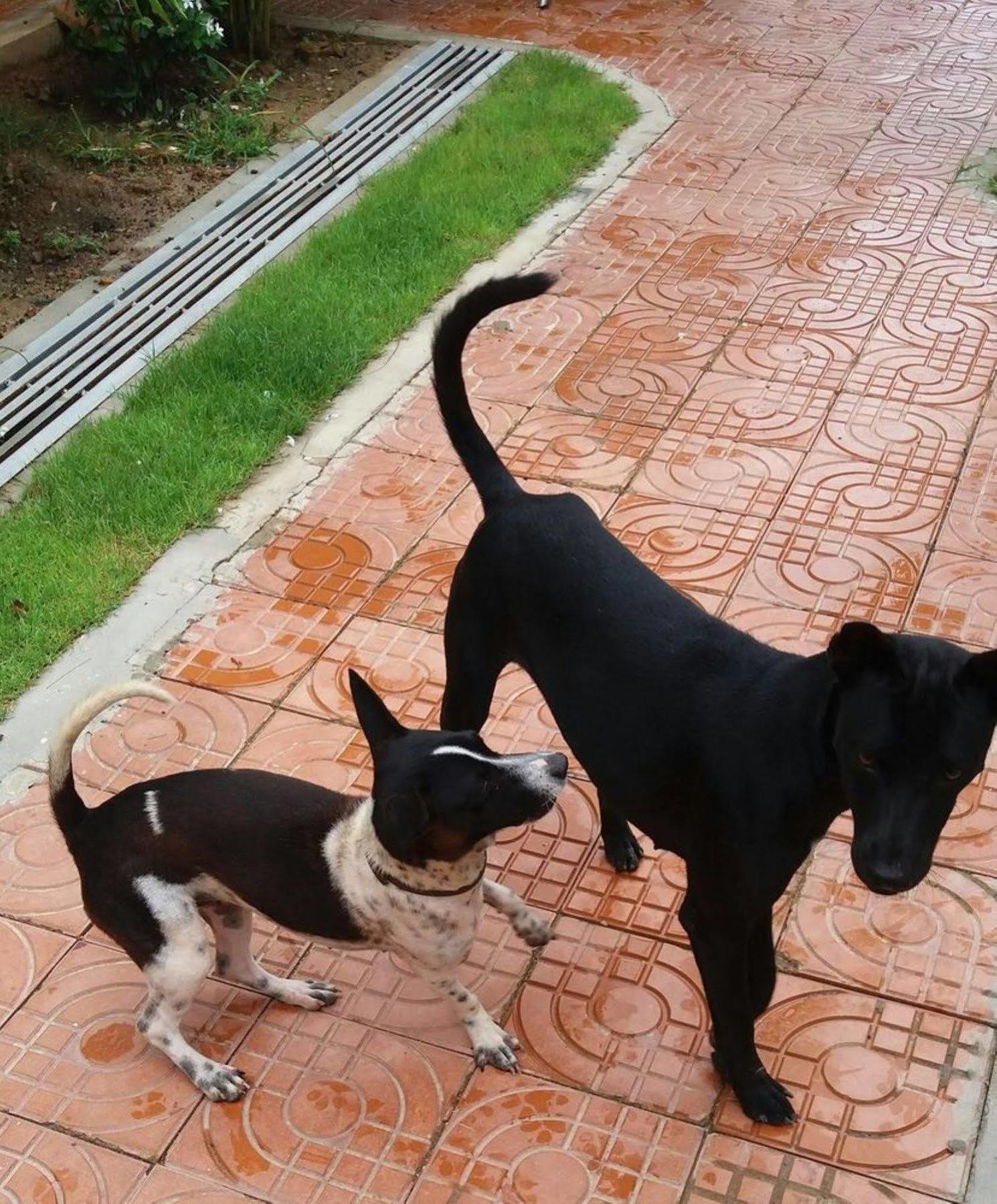 Spayhiti Sihanoukville Exteriör bild